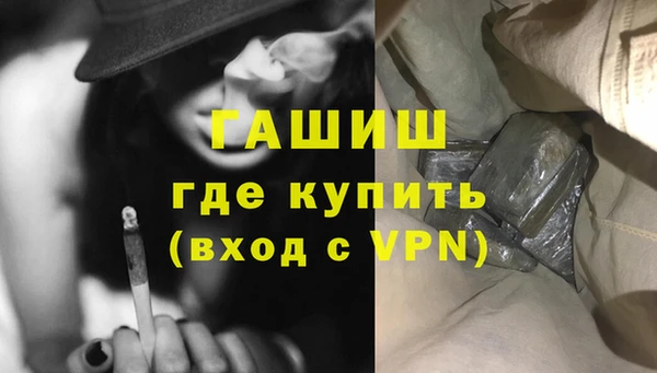 гашик Алексин