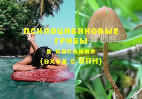 мяу мяу мука Абаза